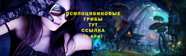 не бодяженный Магадан