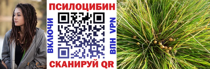 Галлюциногенные грибы мицелий Павлово