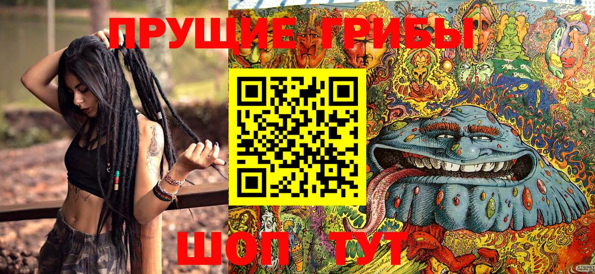 Галлюциногенные грибы MAGIC MUSHROOMS Павлово