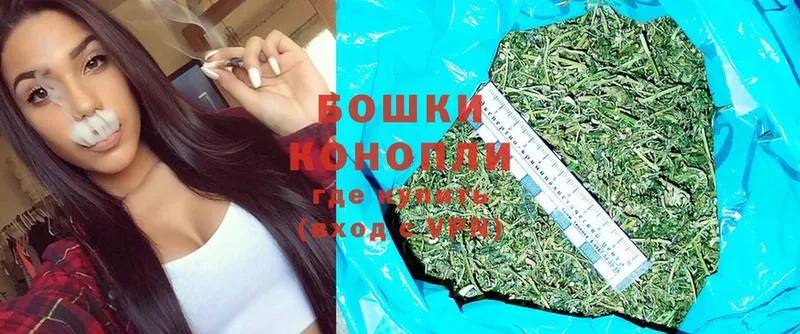 что такое   Павлово  Шишки марихуана Ganja 